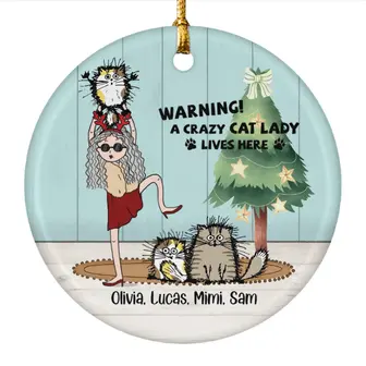 Custom Christmas Cat Moms Gifts Personalized Name Gift For Cat Lovers A Crazy Cat Lady Lives Here - Seseable