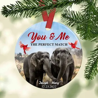 Personalized Elephant Couple Ornament - Thegiftio UK