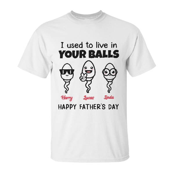 Custom I Used To Live In Your Balls | Custom Name | Gifts For Dad | Personalized Fathers Day | Seseable CA