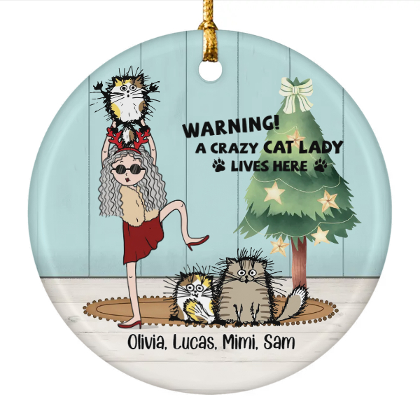 Custom Christmas Cat Moms Gifts Personalized Name Gift For Cat Lovers A Crazy Cat Lady Lives Here | Seseable CA